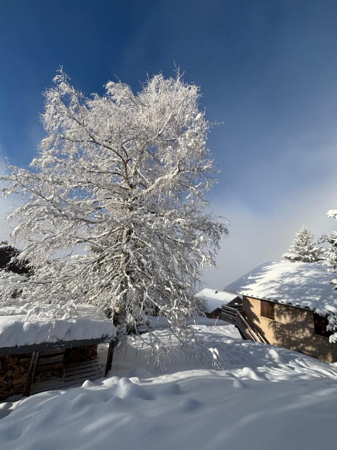 Chalet Rouge Ou Blanc Villard-Reculas Esterno foto